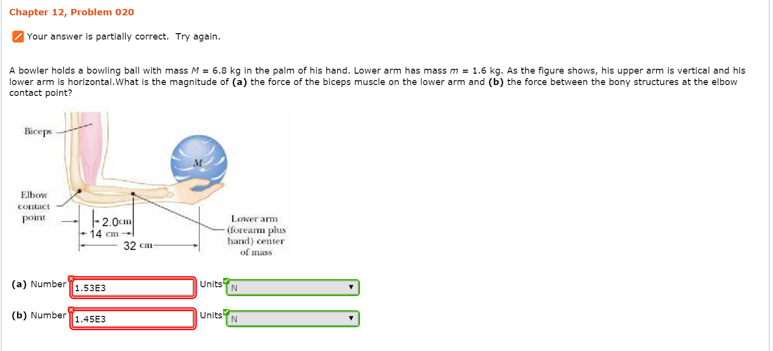 Solved A bowler holds a bowling ball with mass M = 6.8 kg in