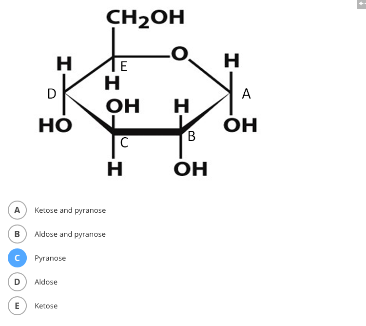 Solved Which family of hexose monosaccharides does the sugar