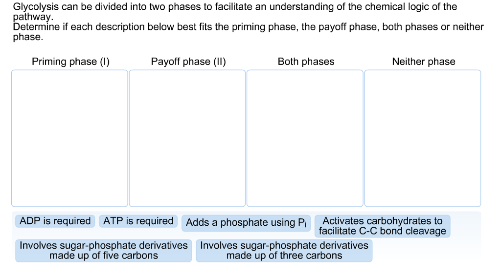 Glycolysis can be divided into two phases to | Chegg.com