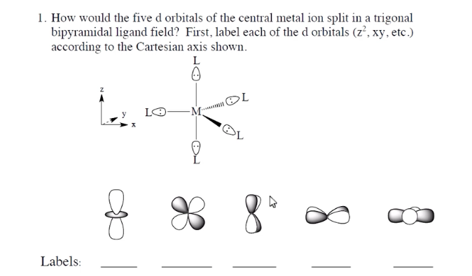 Solved 1. How would the five d orbitals of the central metal | Chegg.com