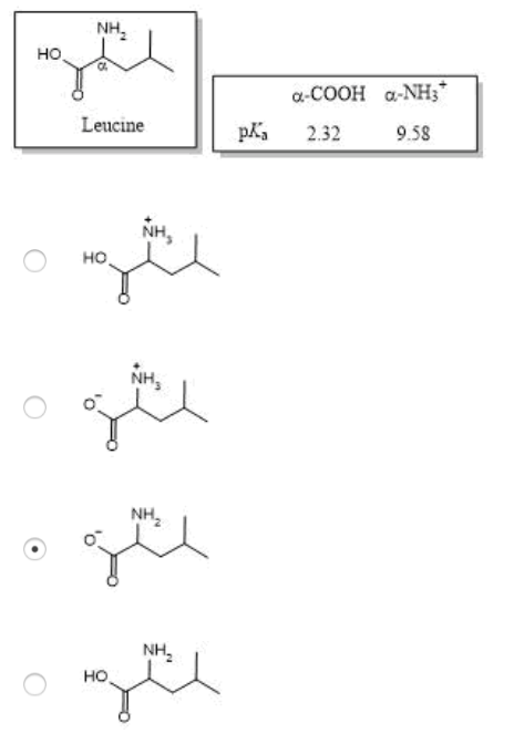 solved-you-dissolve-0-1-mol-of-the-amino-acid-leucine-in-a-chegg