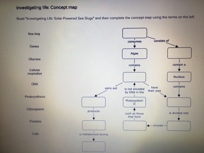 Solved Investigating Life: Concept Map Read 