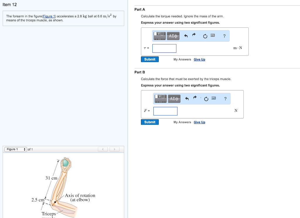 Solved The forearm in the (Figure 1) accelerates a 2.8 kg | Chegg.com