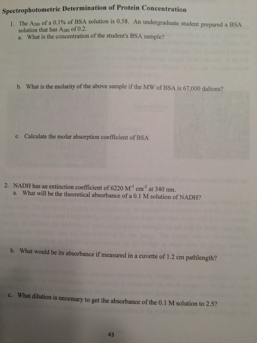 Spectrophotometric Determination of Protein
