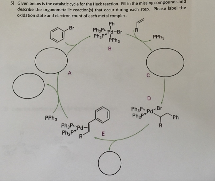 Solved Given Below Is The Catalytic Cycle For The Heck | Chegg.com