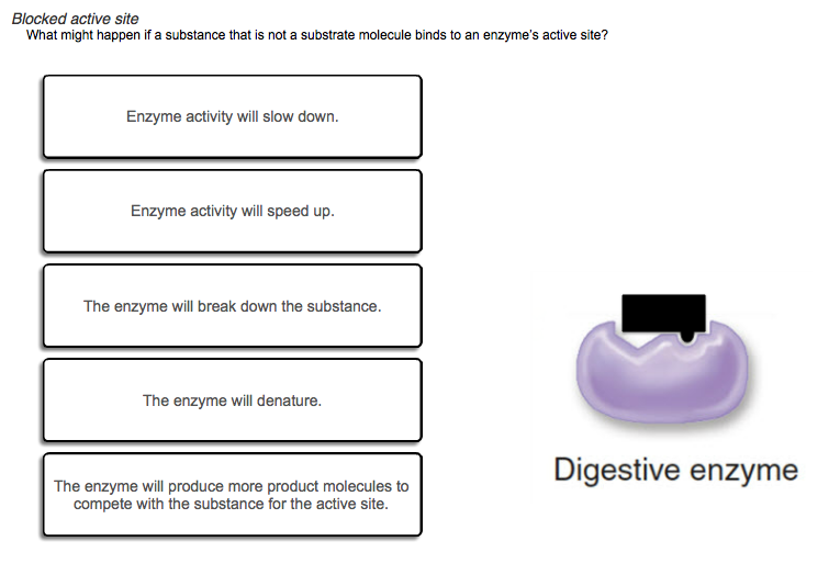 Solved Blocked active site What might happen if a substance | Chegg.com