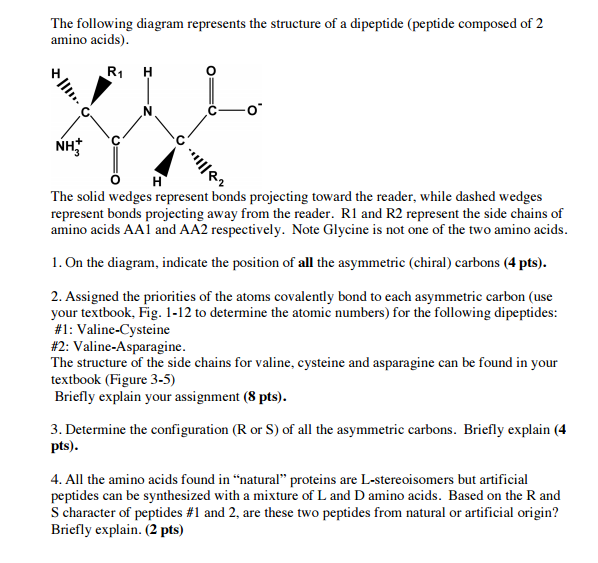 solved-the-following-diagram-represents-the-structure-of-a-chegg