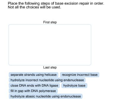 Solved Place the following steps of base excision repair in | Chegg.com