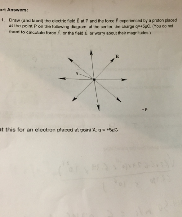 Solved Draw (and label) the electric field E at P and the | Chegg.com