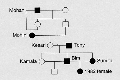 White Tiger Family Tree