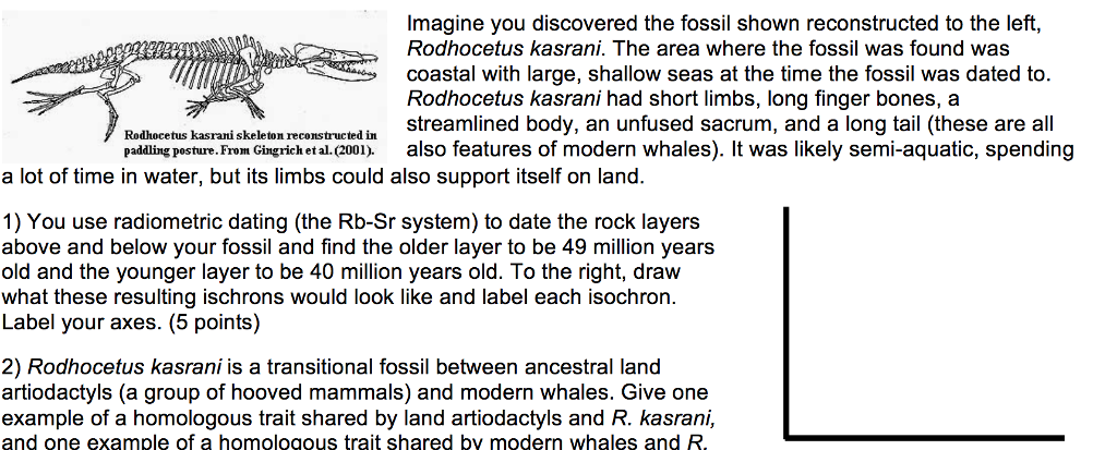 Solved Imagine you discovered the fossil shown reconstructed | Chegg.com