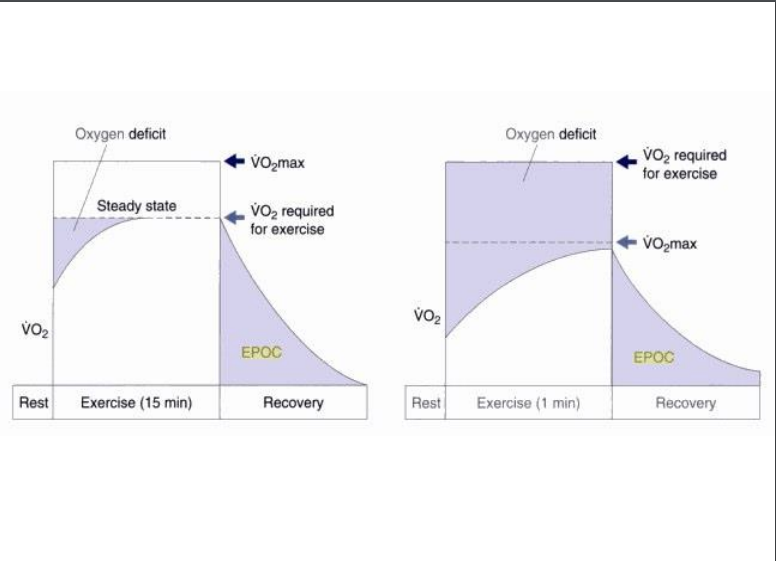 solved-oxygen-deficit-oxygen-deficit-vo2-required-for-chegg