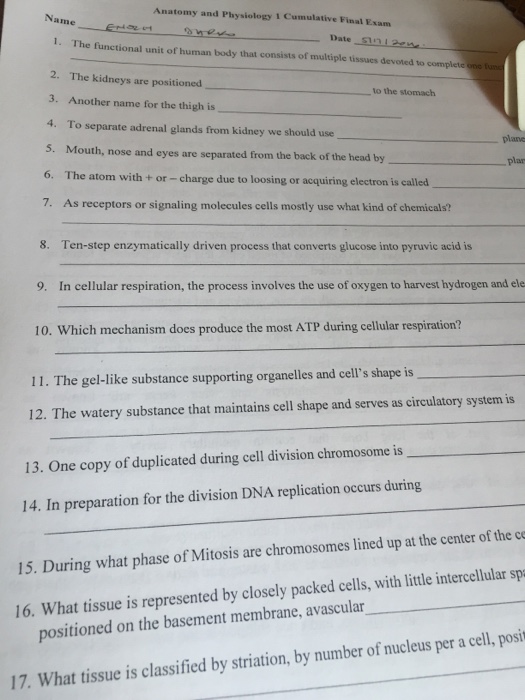 Solved The functional unit of human body that consists of | Chegg.com