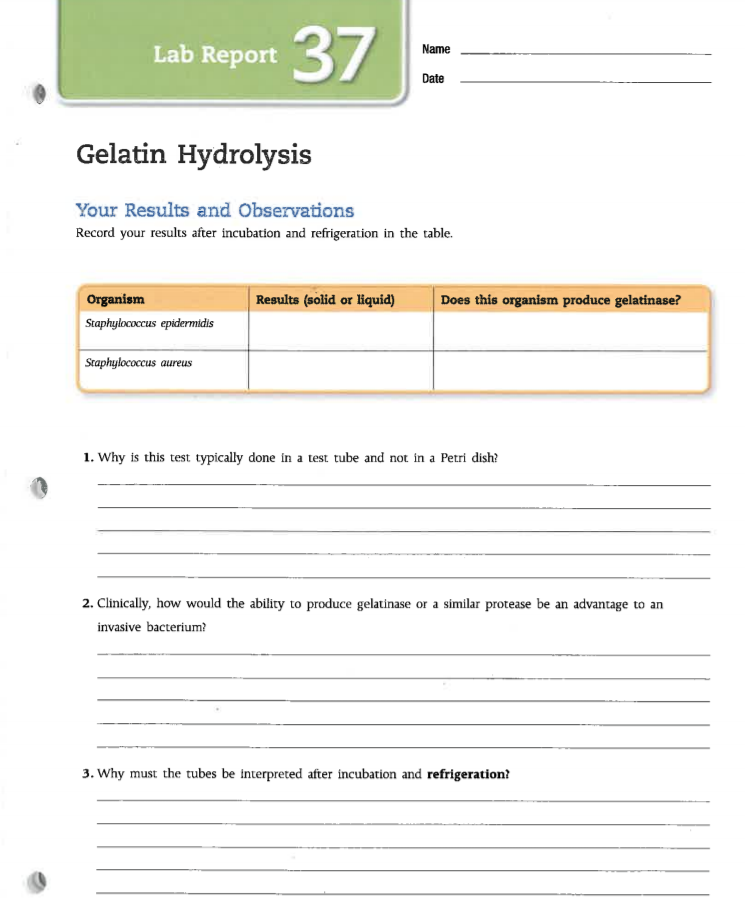 gelatin hydrolysis test positive bacteria