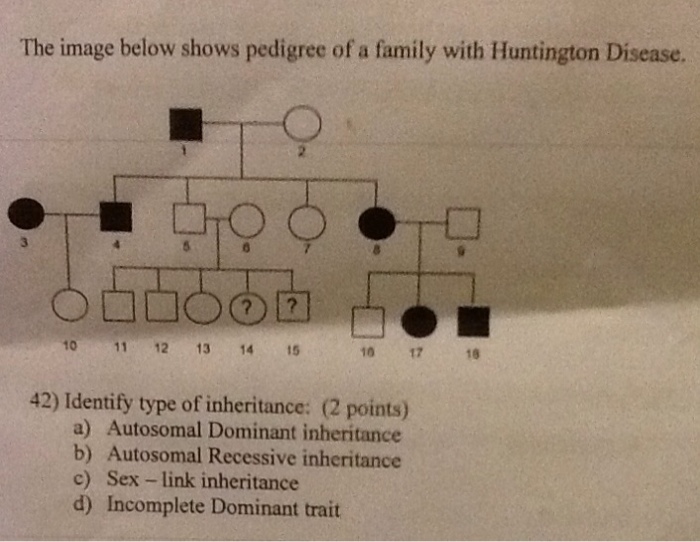 Solved The image below shows pedigree of a family with | Chegg.com