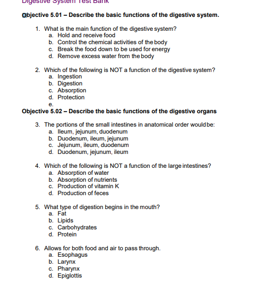 essay questions for digestive system