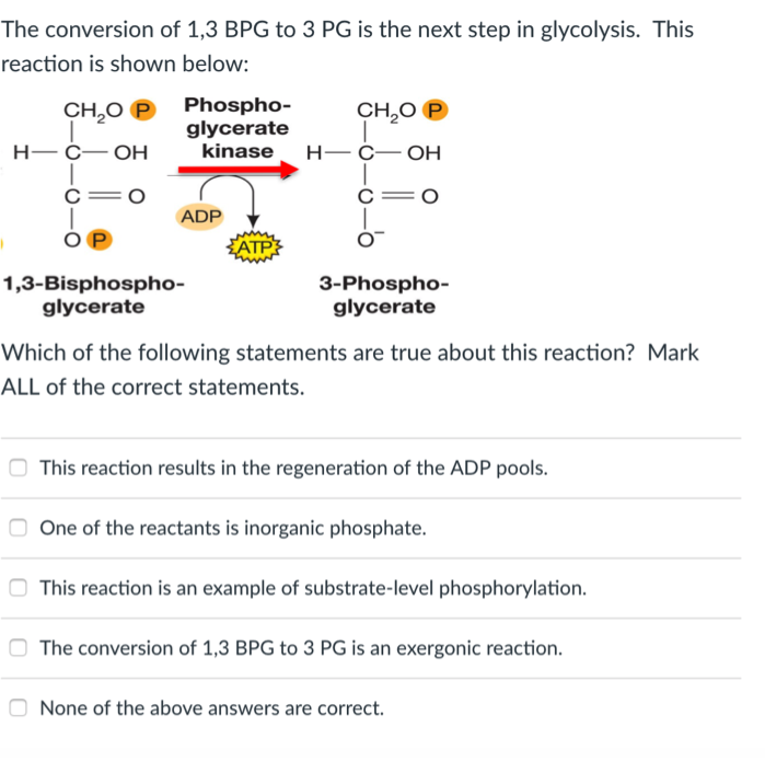 Solved The conversion of 1,3 BPG to 3 PG is the next step in | Chegg.com