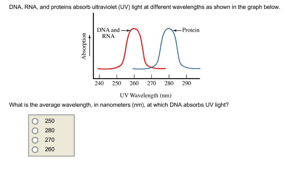 260 nm deals uv light