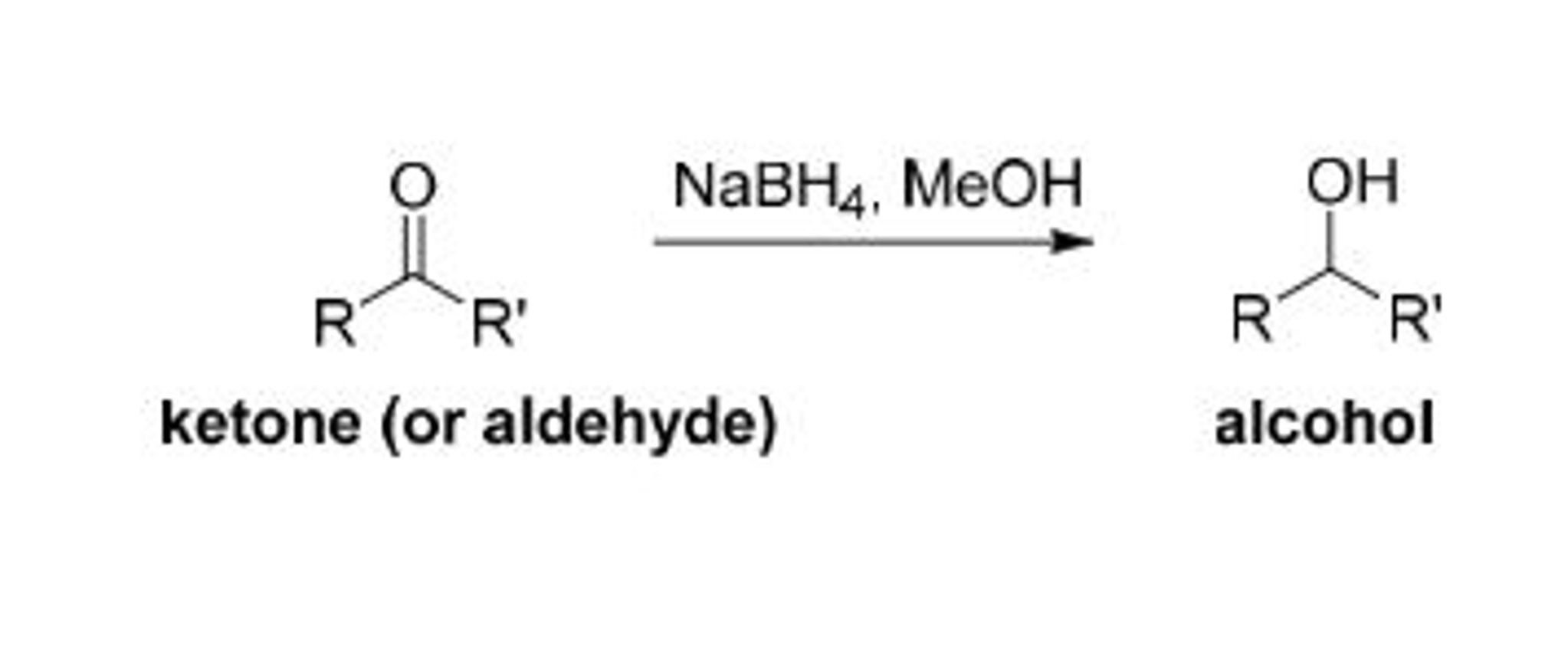 Solved: My Ketone Or Aldehyde Is: Camphor Alcohol That It | Chegg.com
