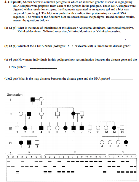 Solved Shown below is a human pedigree in which an inherited | Chegg.com