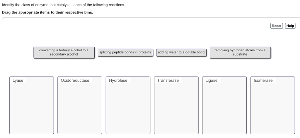 Solved Identify the class of enzyme that catalyzes each of | Chegg.com