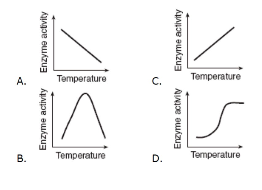 😎 Optimum temperature. Best Temperature for Sleep. 20190114