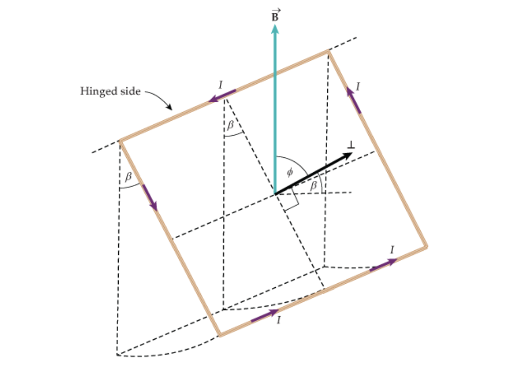 Solved You wind a square coil 0.125 m on a side from a | Chegg.com