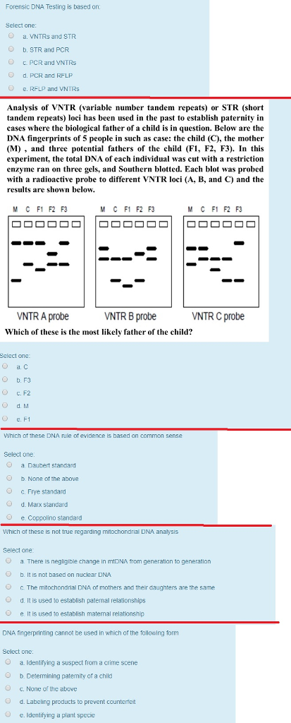 D-PCR-DY-23 PDF Testsoftware | Maxtic