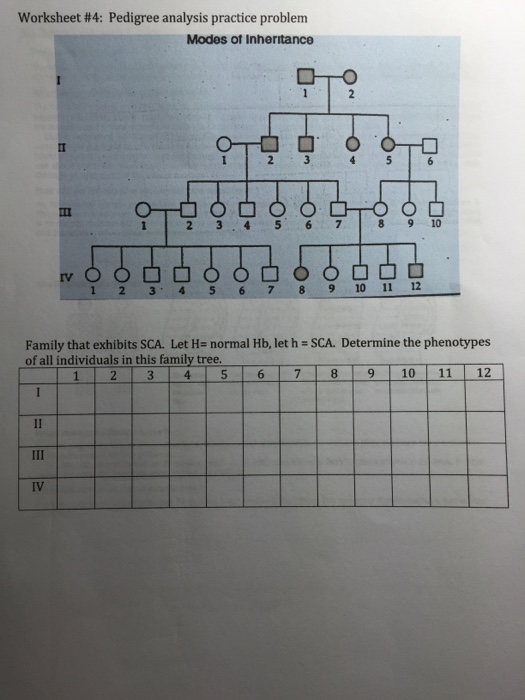 Solved Pedigree analysis practice problem Family that | Chegg.com