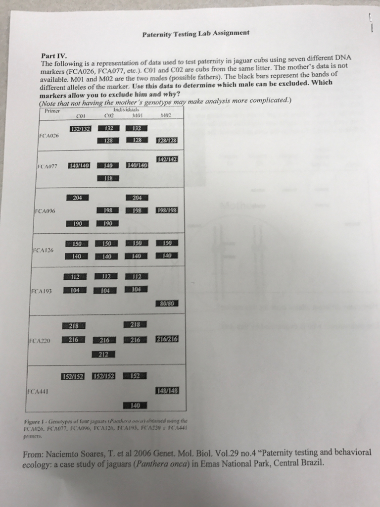 Solved Paternity Testing Lab Assignment Part IV The | Chegg.com