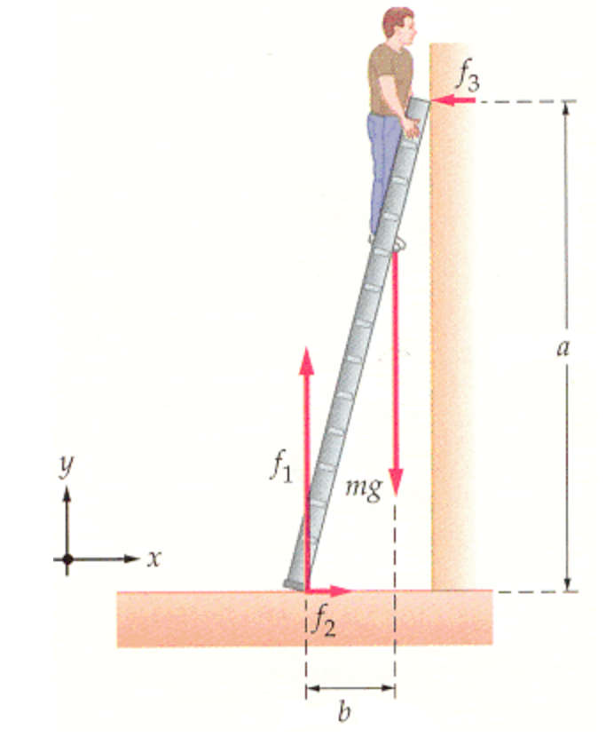 Solved An 85kg person stands on a uniform ladder that is