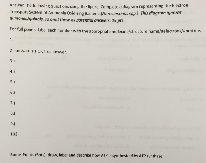 Solved Answer The Following Questions Using The Figure. | Chegg.com