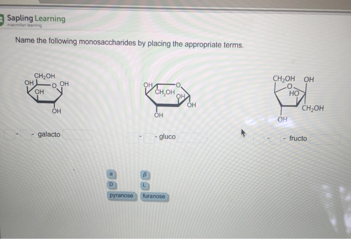 Solved Name The Following Monosaccharides By Placing The