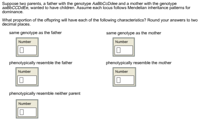 Solved Suppose two parents, a father with the genotype | Chegg.com
