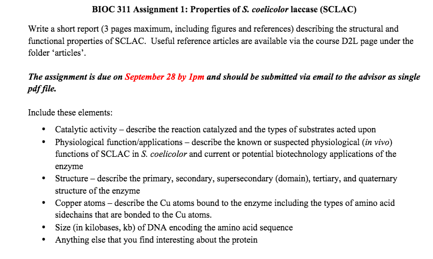 how-to-write-references-in-a-report