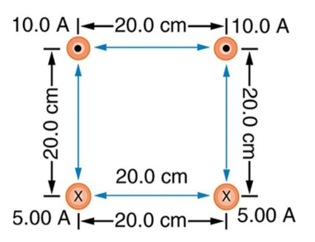 Solved Determine The Direction Of The Net Magnetic Field At Chegg Solved Determine The Direction Of The Net Magnetic Field At Chegg