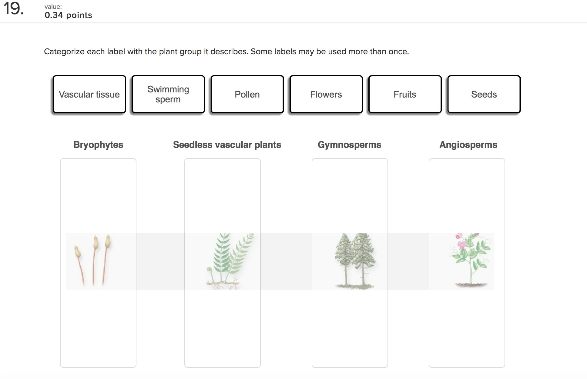 Solved Categorize Each Label With The Plant Group It Desc