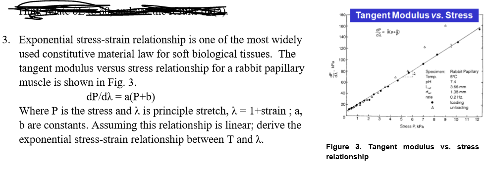 Solved Tangent Modulus vs. Stress 100 da 3. Exponential | Chegg.com