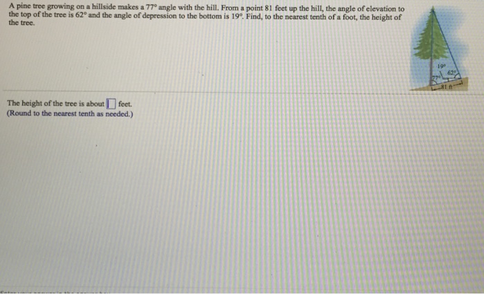 Solved A pine tree growing on a hill side makes a 77 degree | Chegg.com