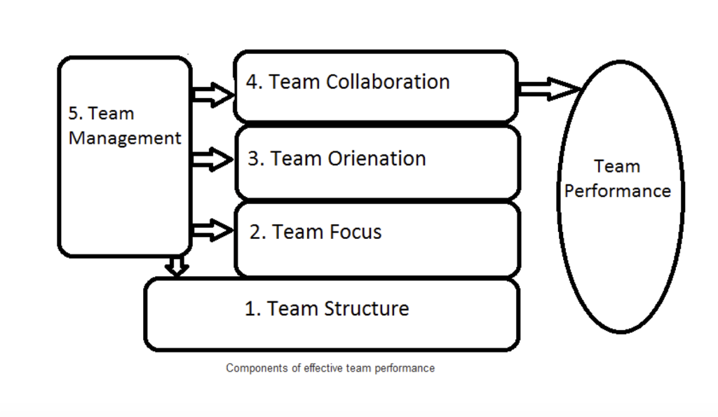 solved-o-how-do-you-know-that-a-team-you-belong-to-is-chegg