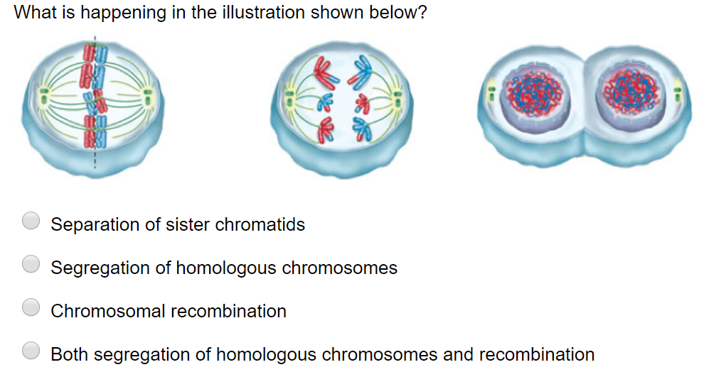 Solved What is happening in the illustration shown below? | Chegg.com