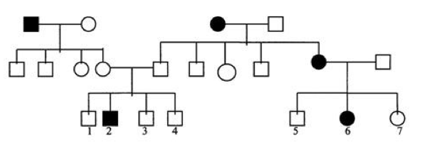 Solved Question asks the probabily of offspring from | Chegg.com