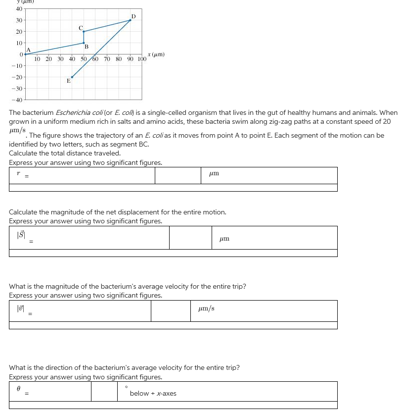 Solved The bacterium Escherichia coli (or E. coli) is a | Chegg.com