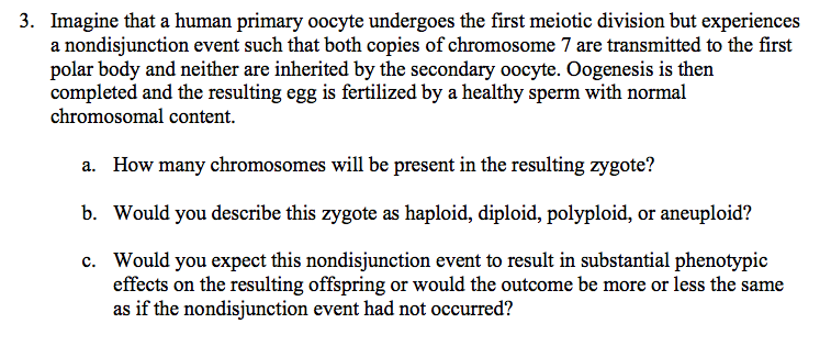 Solved Imagine that a human primary oocyte undergoes the | Chegg.com