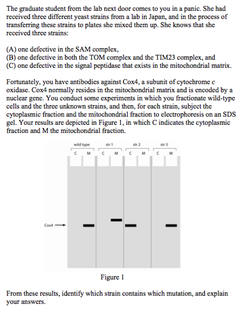 Solved The graduate student from the lab next door comes to
