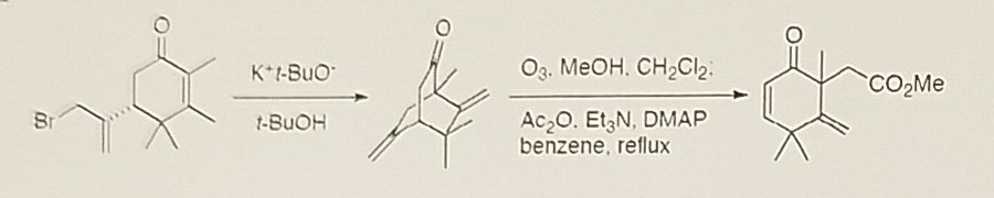 Solved O3 Meoh Ch2cl2 Co2me Ac2o Etgn Dmap Benzene