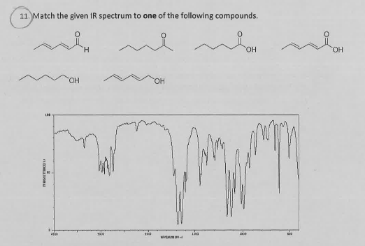 Solved Match the given IR spectrum to one of the following | Chegg.com