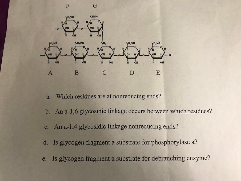 Solved Answer the questions about the glycogen fragment in