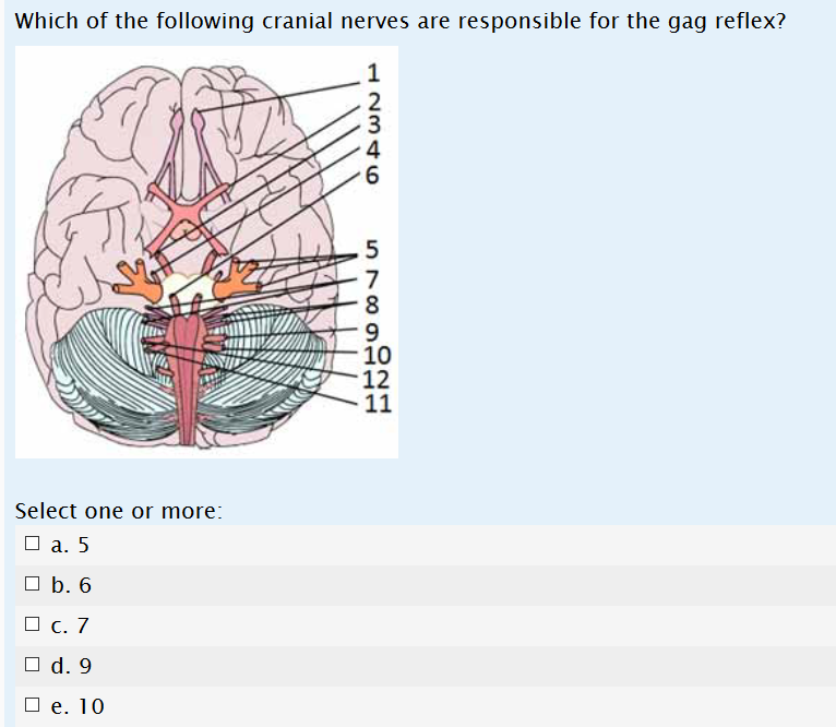 gag reflex cranial nerve