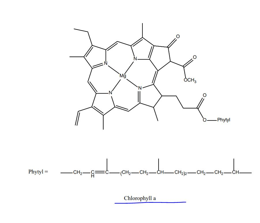 Solved 5. Given below are the structures of βcarotene and